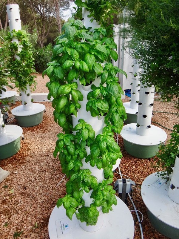 Tower Garden Image