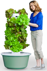 Aeroponic Tower Garden